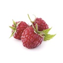 Wild Raspberry Extra Preserve - 5 kg Agrimontana